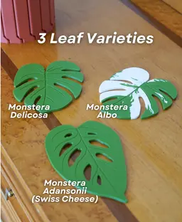 Monstera Coaster Set - Coaster Set End Table - Gen 2 3d model