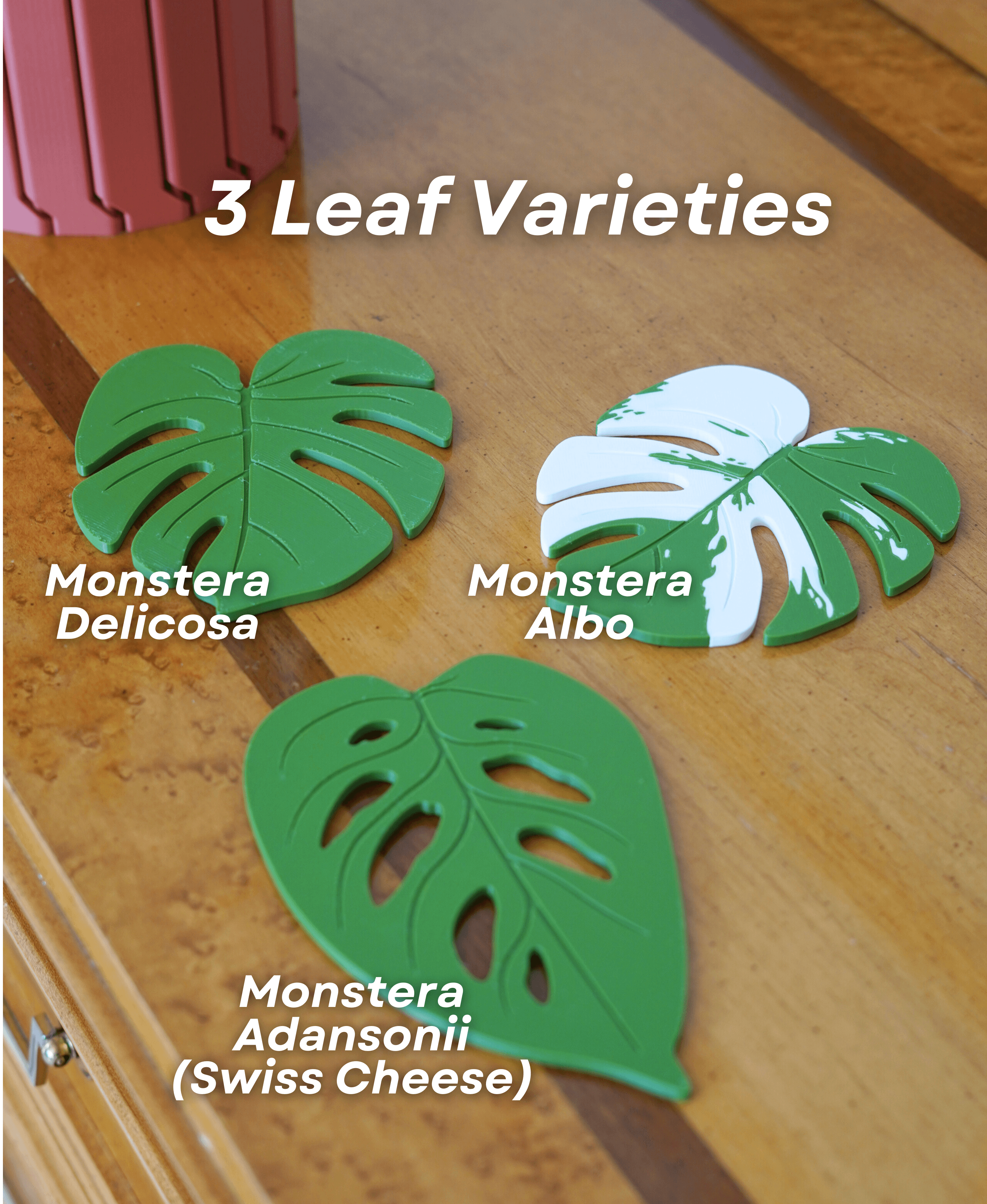 Monstera Coaster Set - Coaster Set End Table - Gen 2 3d model