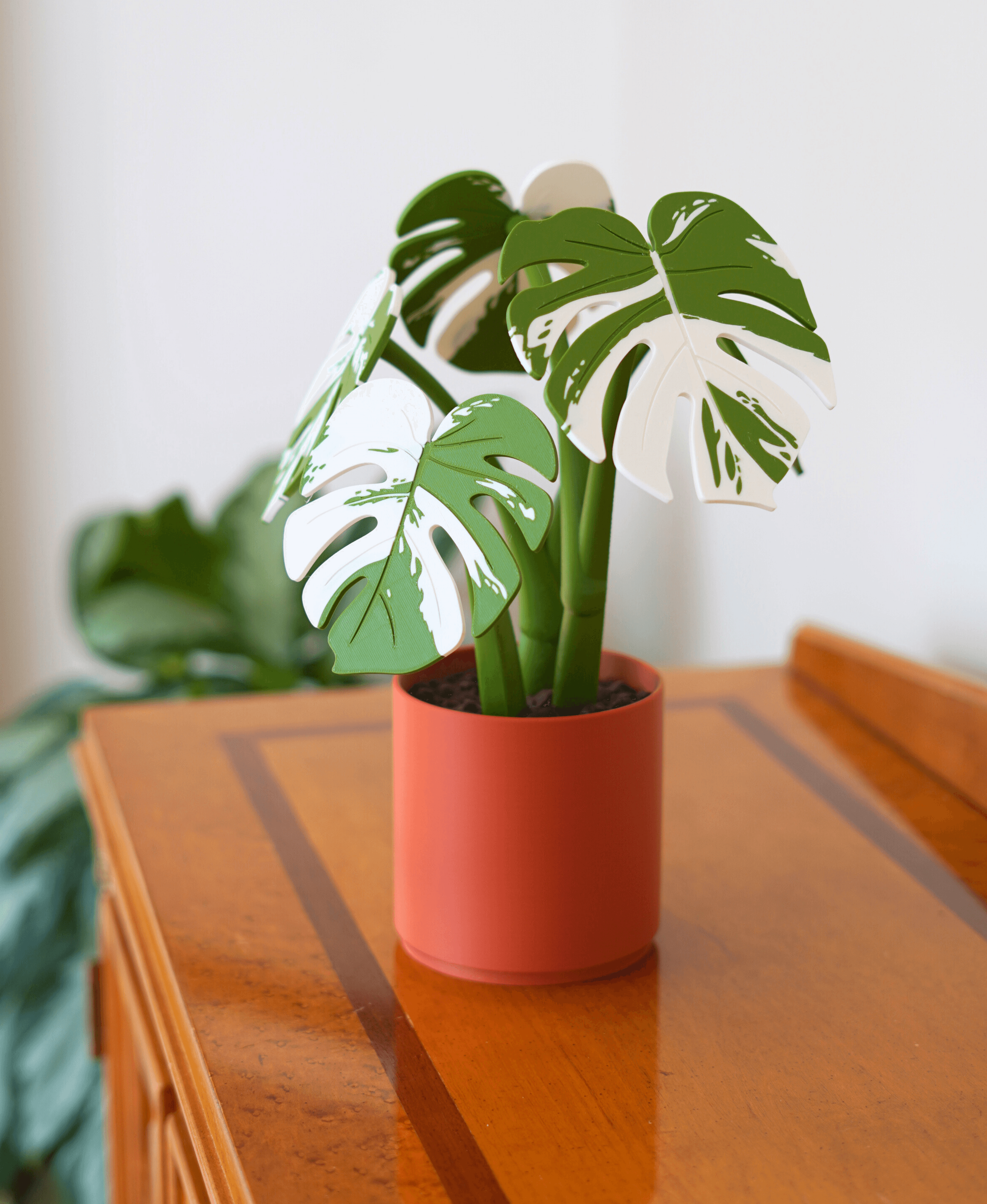 Monstera Coaster Set - Coaster Set End Table - Gen 2 3d model