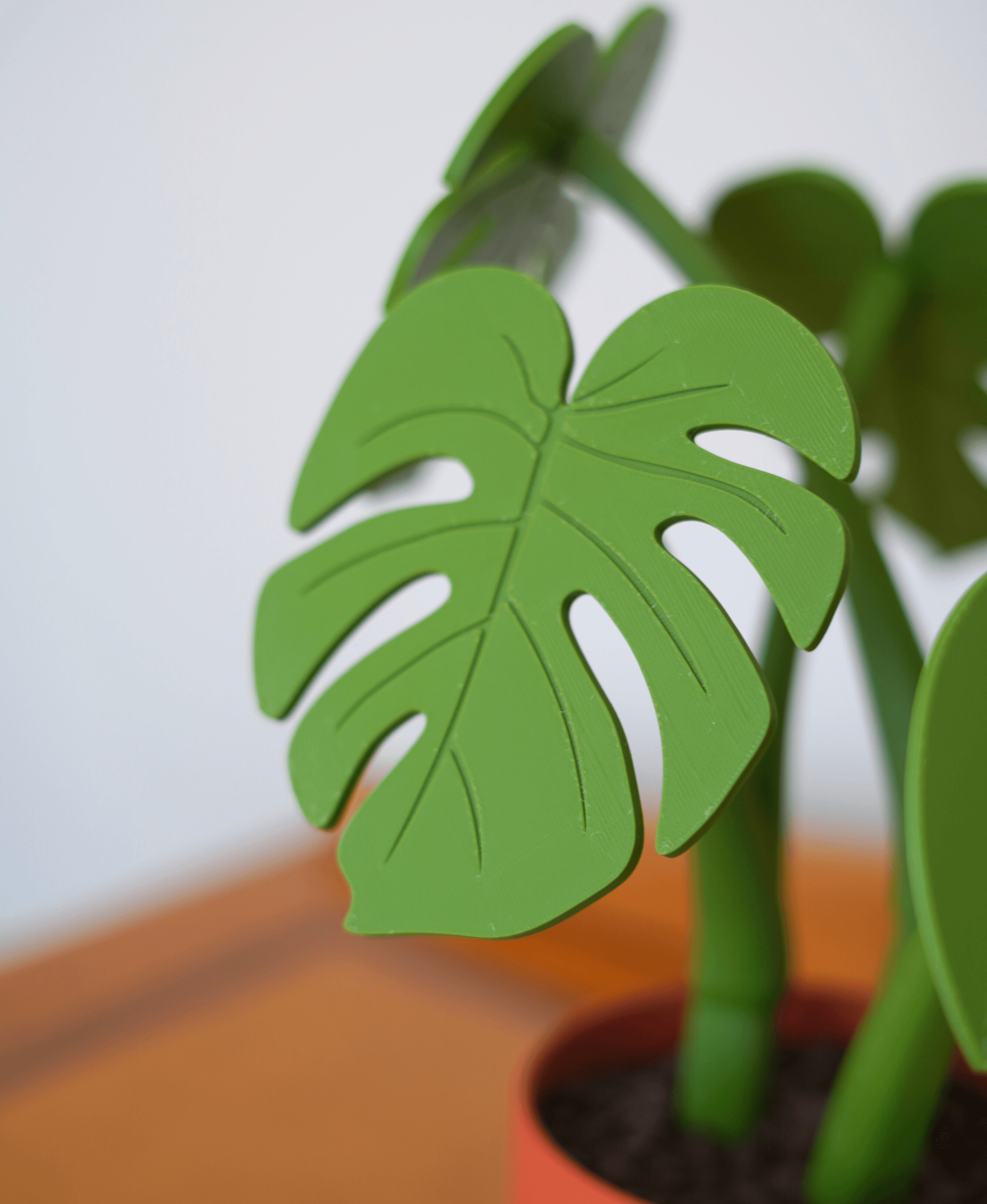 Monstera Coaster Set - Coaster Set End Table - Gen 2 3d model