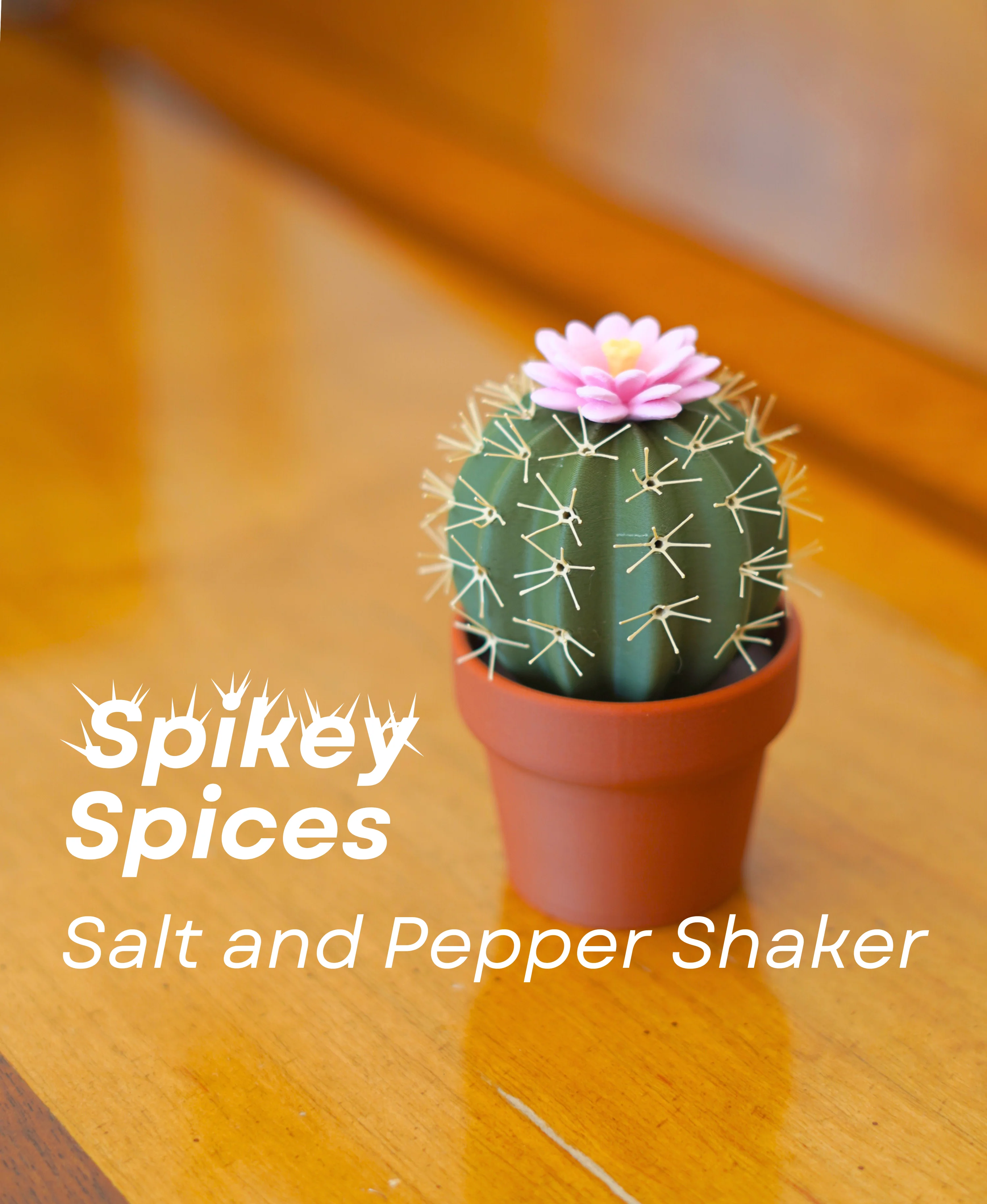 Spikey Spices - Cactus Salt and Pepper Shaker 3d model