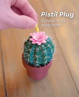 Spikey Spices - Cactus Salt and Pepper Shaker 3d model