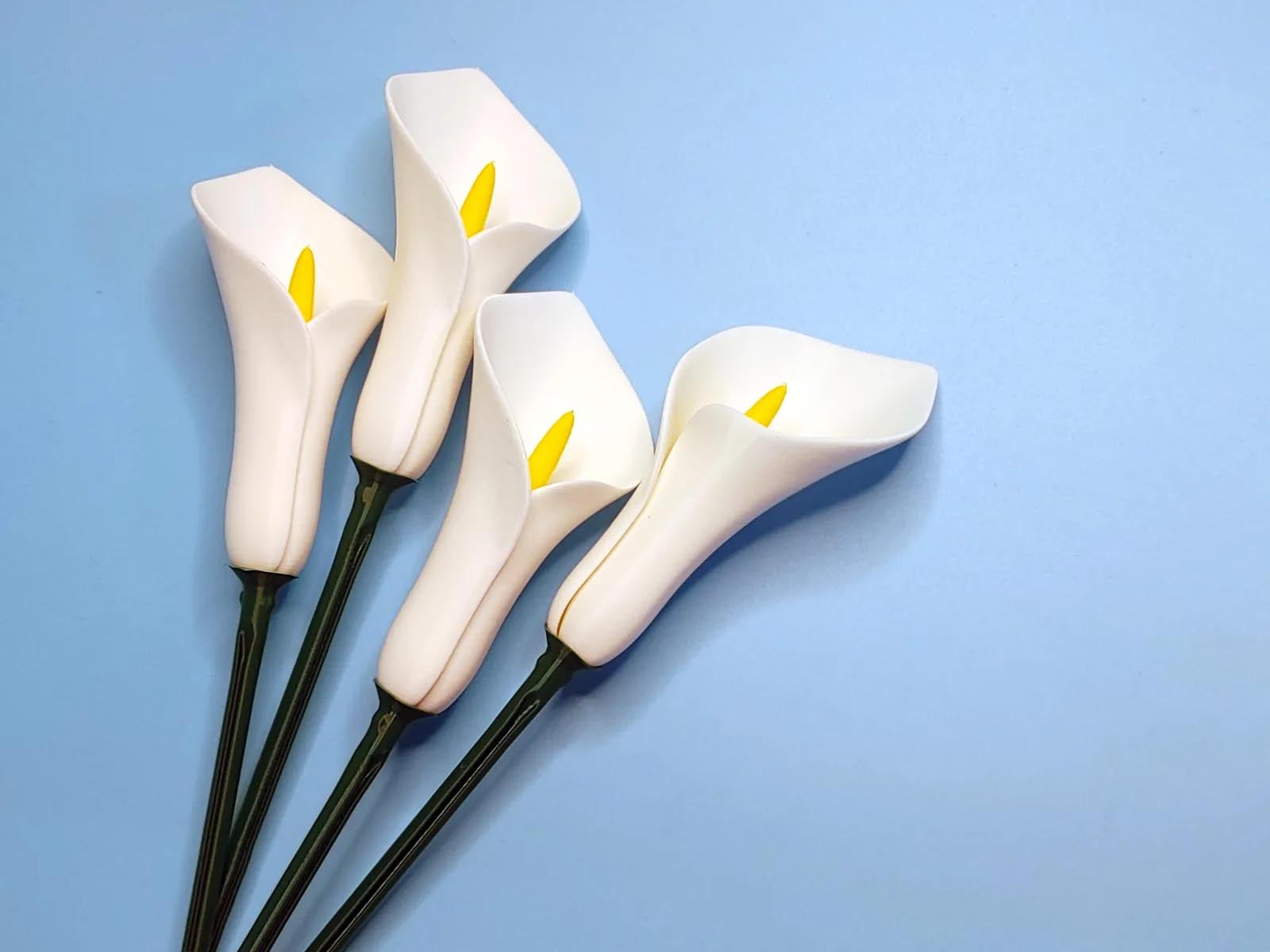 Calla Lily Flower (Vase Mode) 3d model