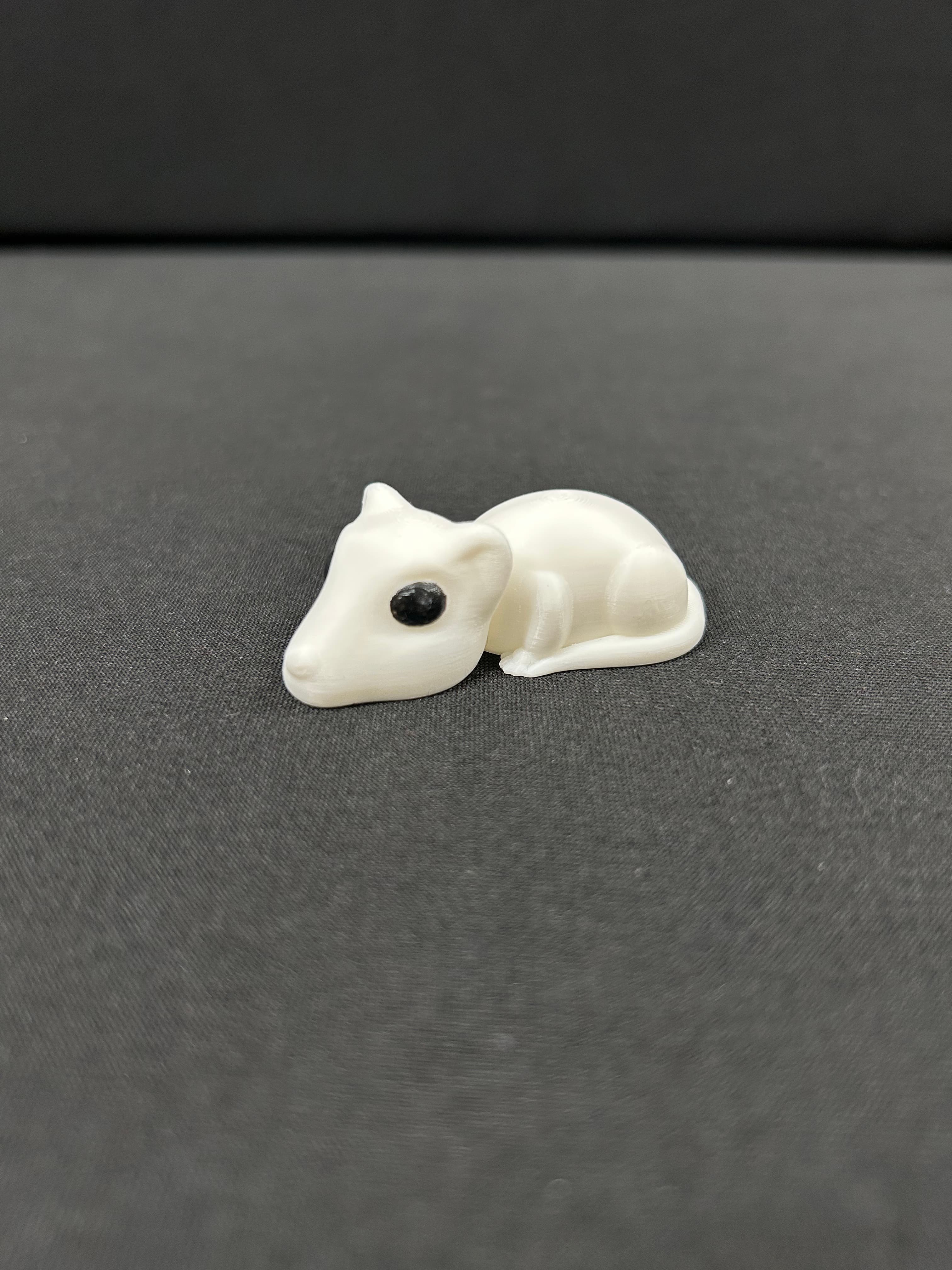 Rat 3d model