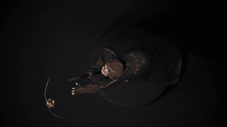 Quidditch Seeker: Harry Potter on Broomstick Chasing the Golden Snitch (STL File) 3d model