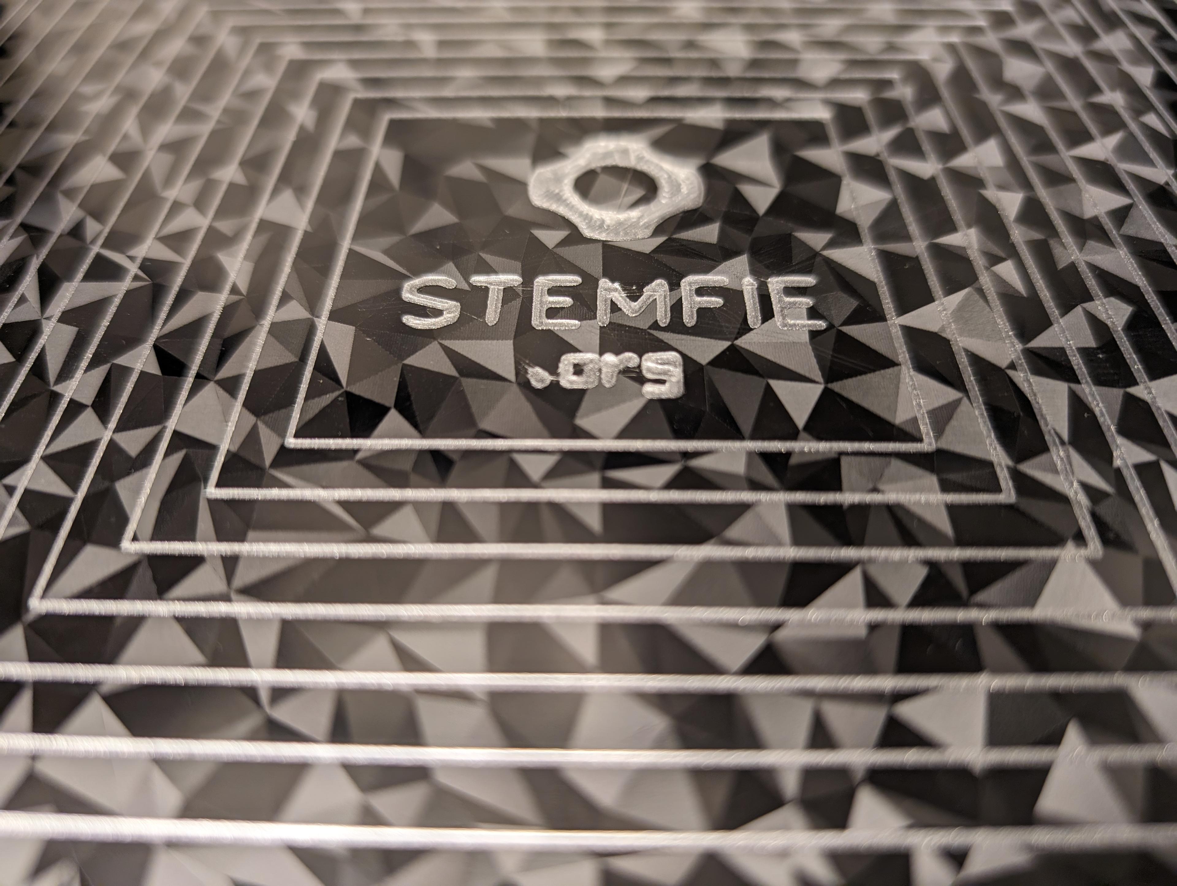 STEMFIE First-layer Build Plate Calibration Lines 3d model