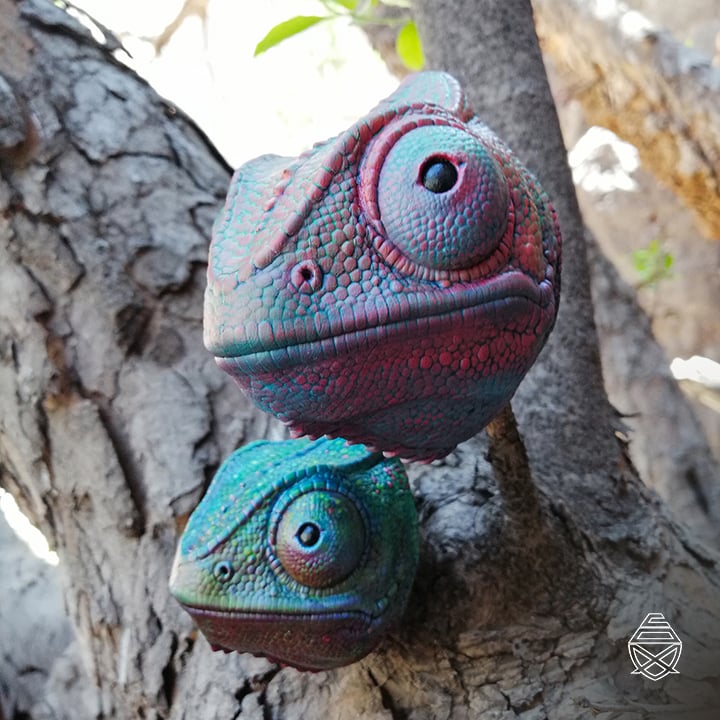 Wall Chameleon 3d model