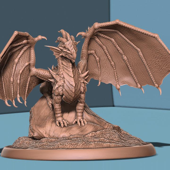 Young Red Dragon 3d model