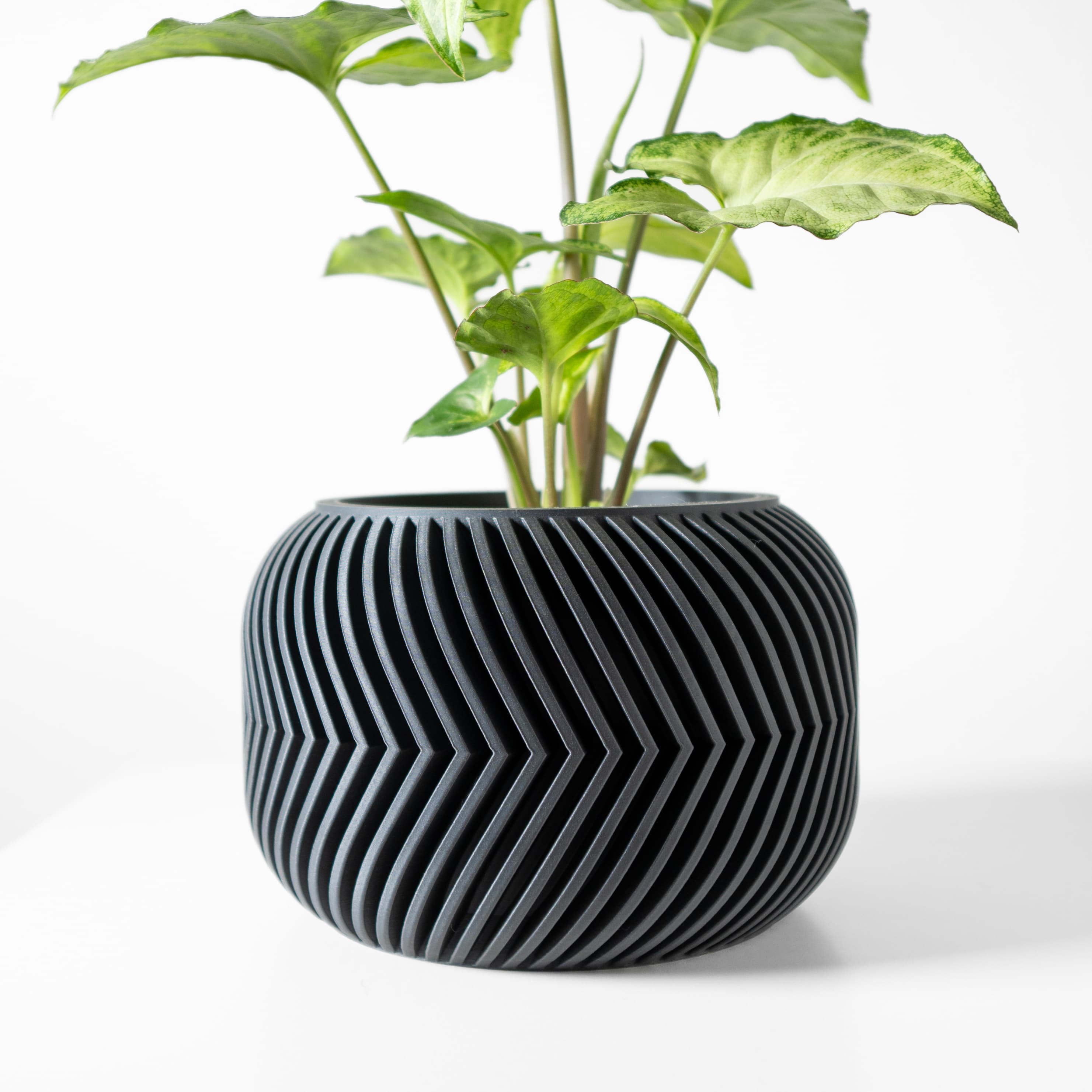 The Ervon Planter Pot with Drainage Tray & Stand: Modern and Unique Home Decor for Plants 3d model
