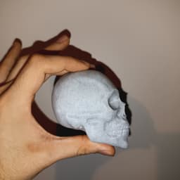 Male Skull Sculpt, Sculpture, Various Versions 3d model
