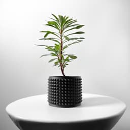 The Anver Planter Pot with Drainage Tray & Stand Included | Modern and Unique Home Decor 3d model