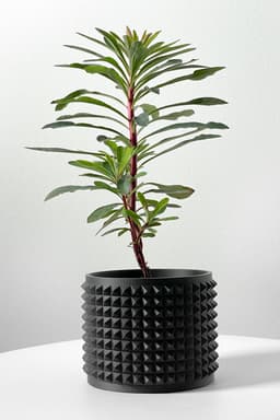 The Anver Planter Pot with Drainage Tray & Stand Included | Modern and Unique Home Decor 3d model