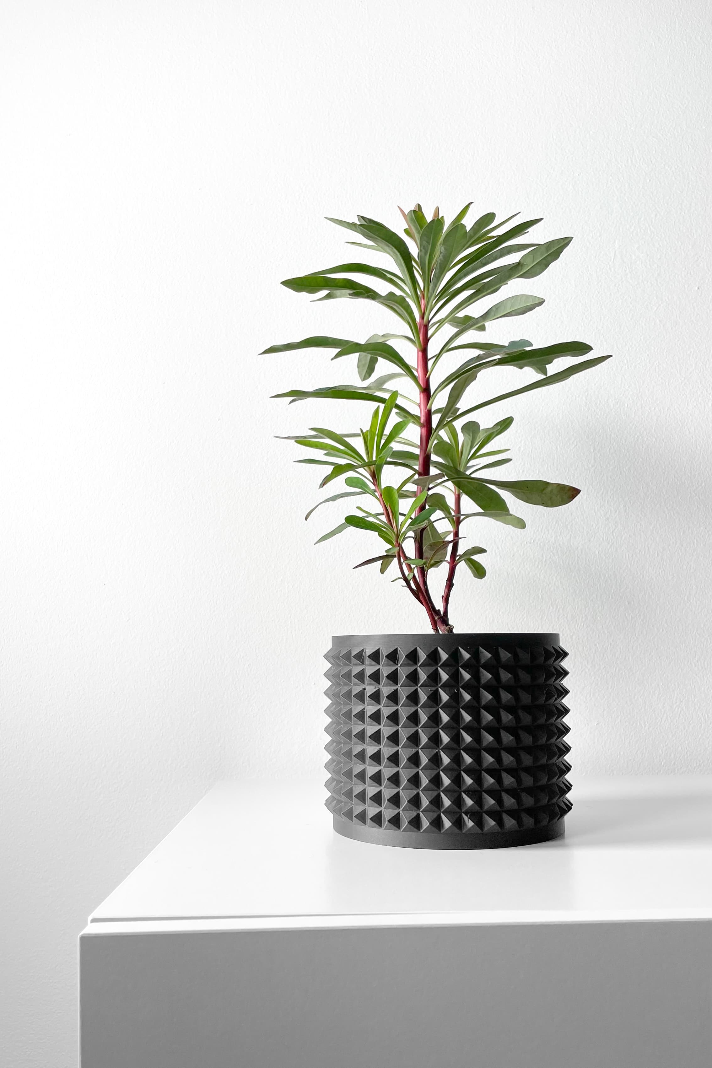 The Anver Planter Pot with Drainage Tray & Stand Included | Modern and Unique Home Decor 3d model