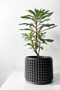 The Anver Planter Pot with Drainage Tray & Stand Included | Modern and Unique Home Decor 3d model