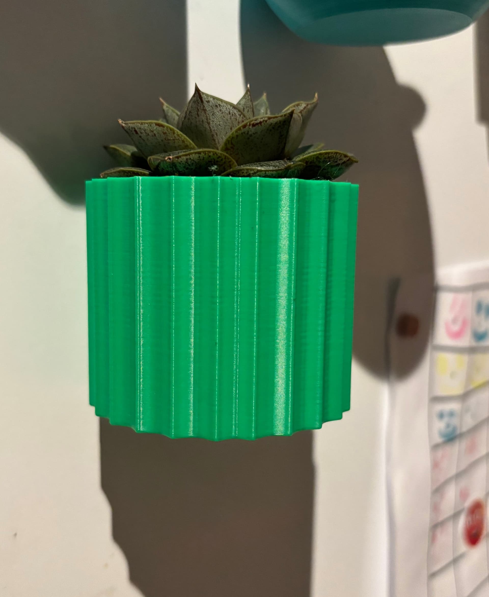 Fridge magnetic planter for succelent plants - 1 3d model