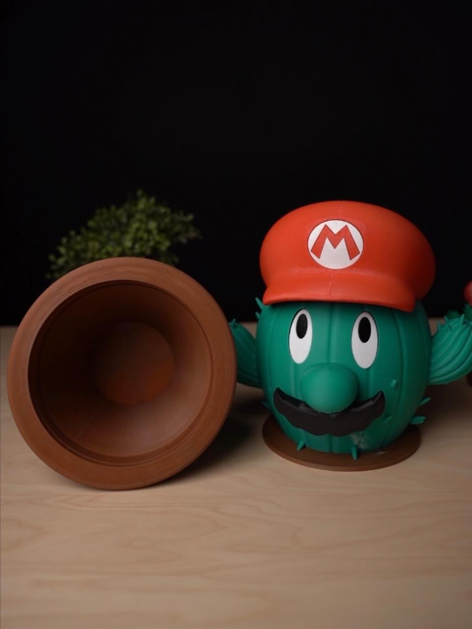 Mario Cactus Container 3d model