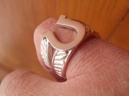 Justified - Horseshoe Ring Size US8.5 3d model