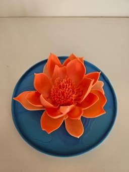 Water Lily 1.3mf 3d model