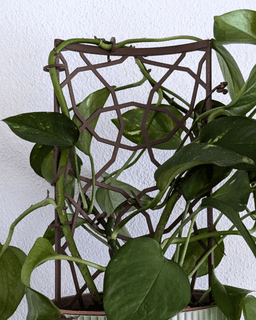 Modular Trellis Lattice02 3d model
