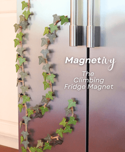 Magnetivy - English Ivy Fridge Magnet with Articulating Stems - Print in Place Hinges 3d model