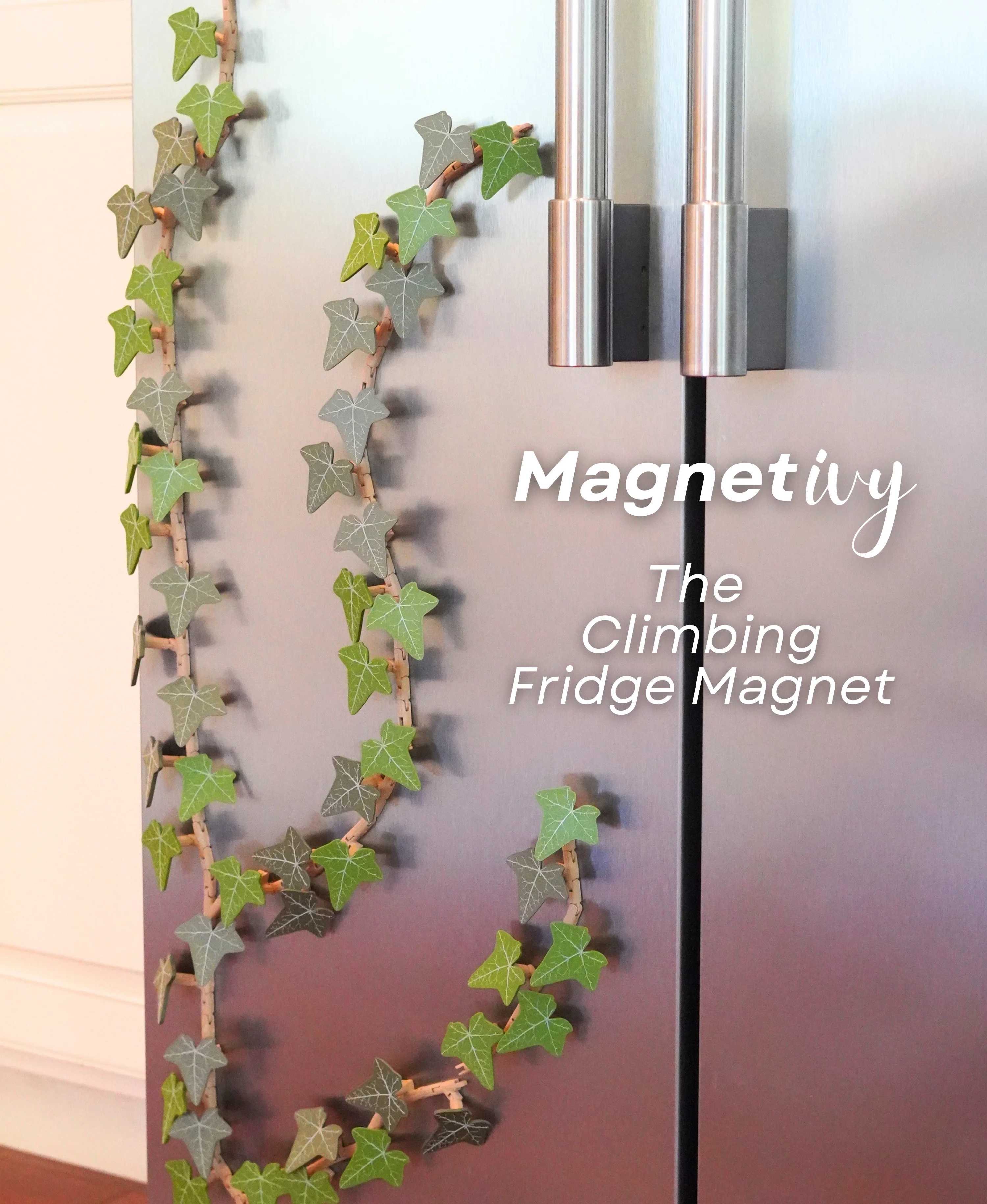 Magnetivy - English Ivy Fridge Magnet with Articulating Stems - Print in Place Hinges 3d model