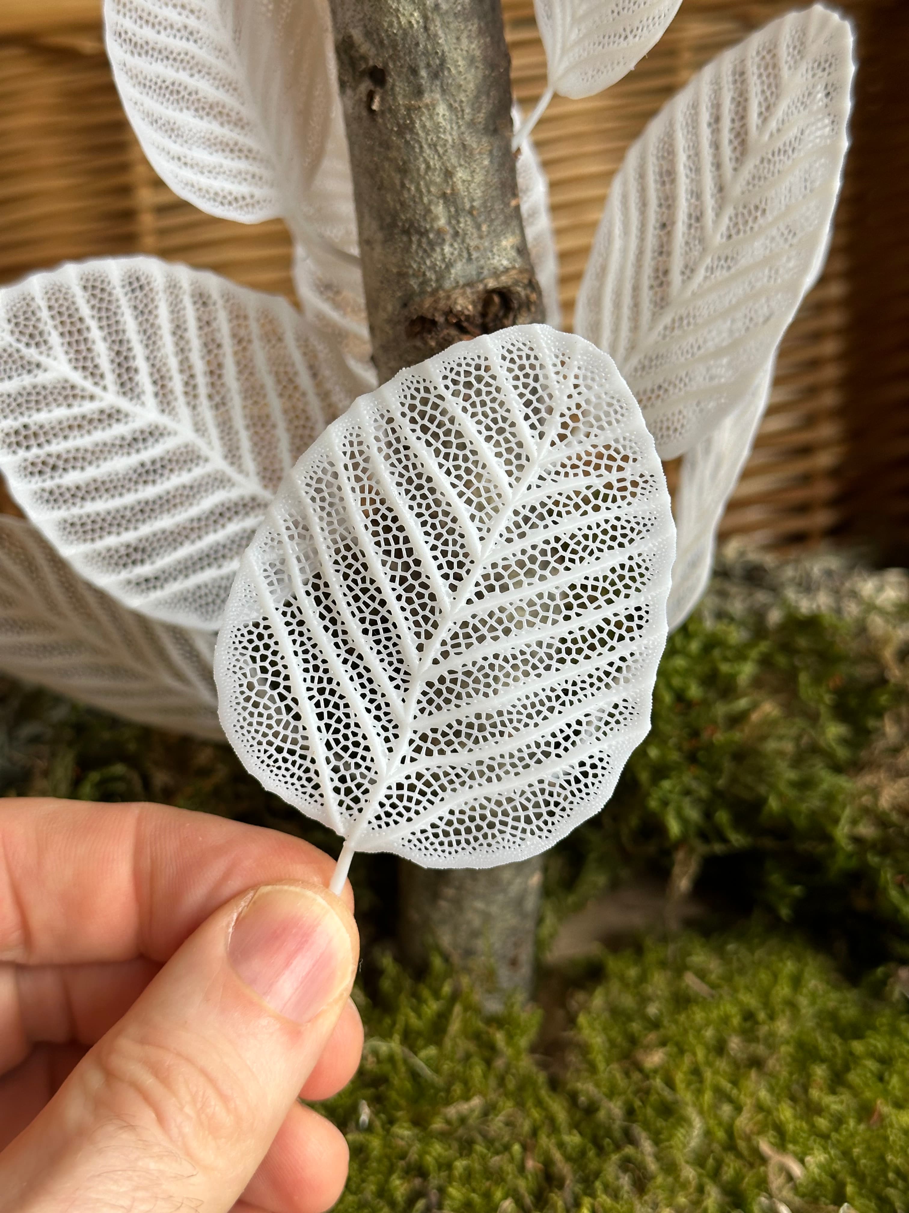 Skeleton Leaves - Alder 3d model