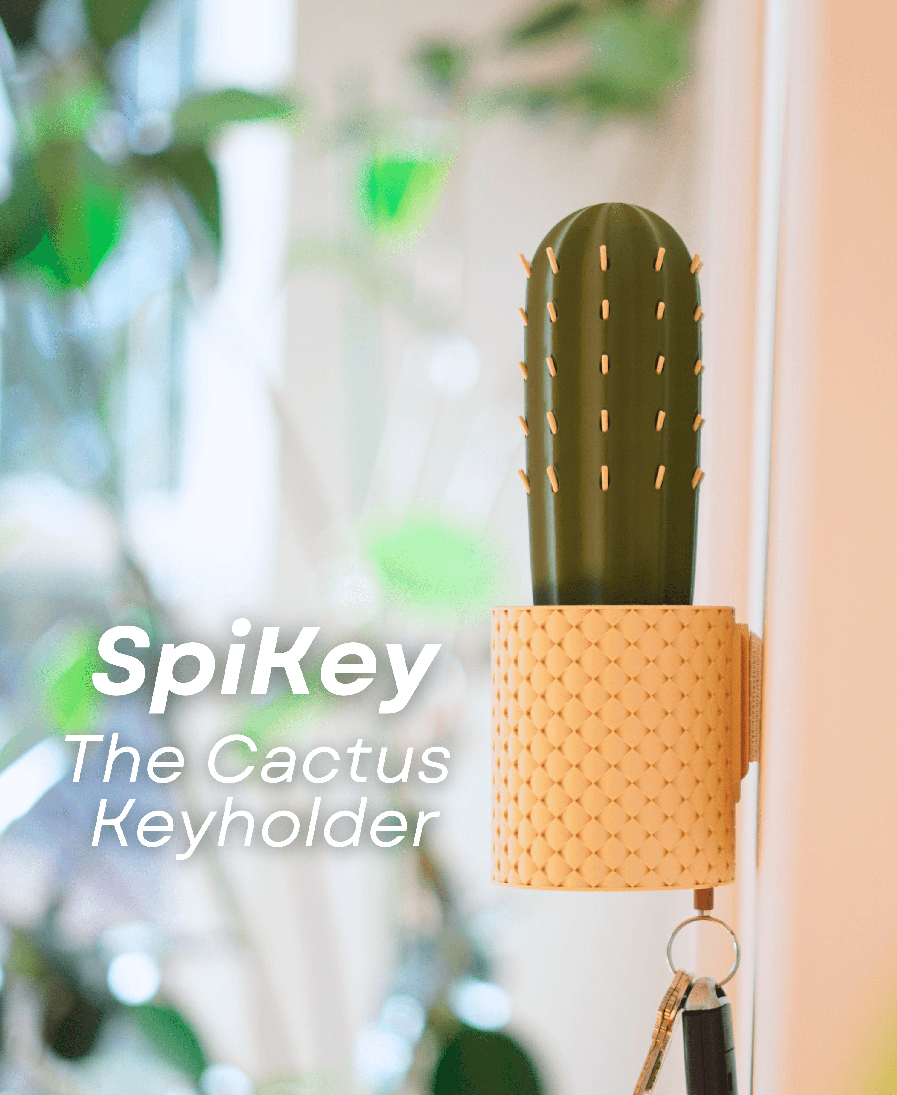 SpiKey - The Cactus Wall Mounted Keyholder 3d model