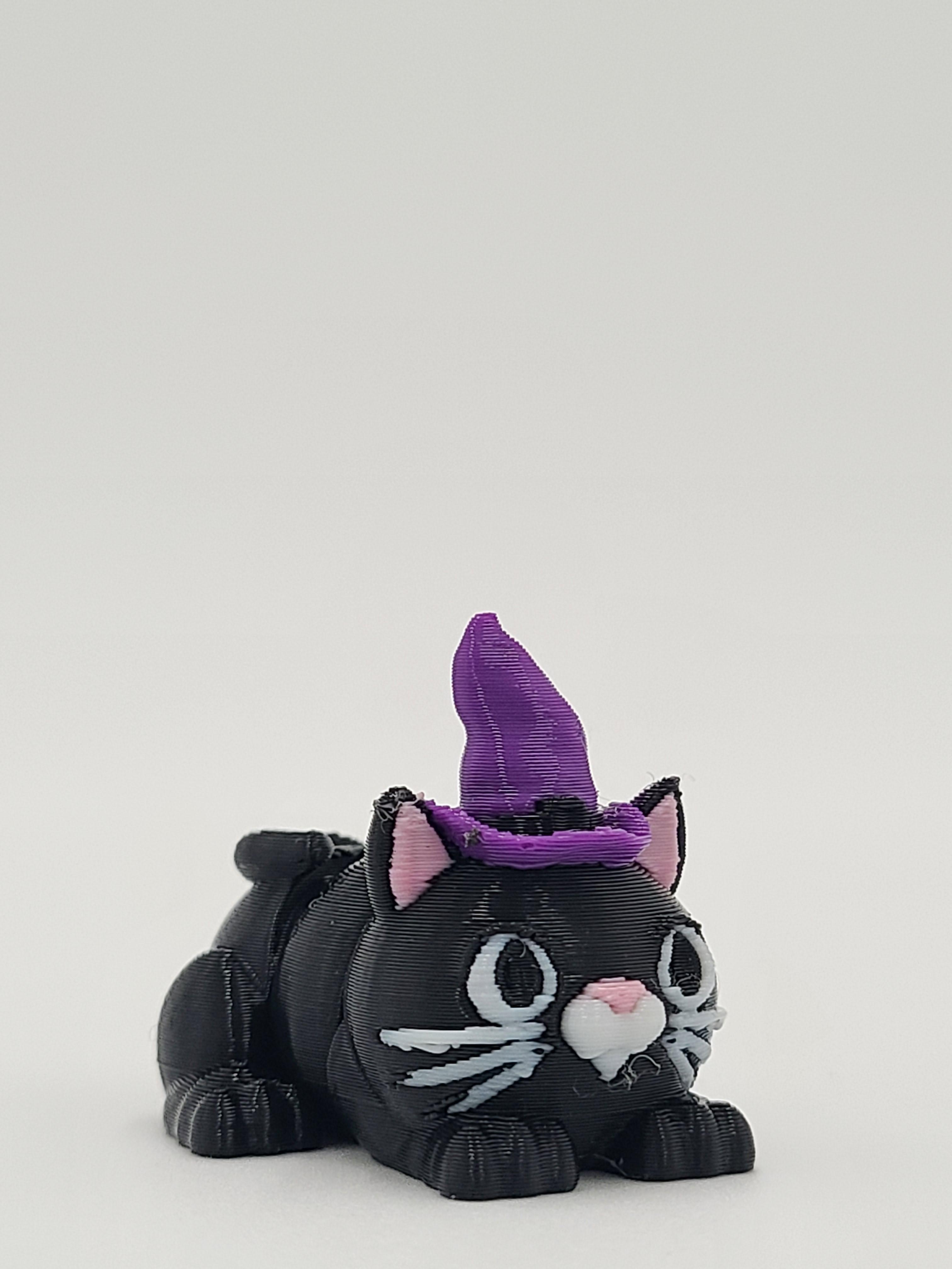 Witch Hat Snappy Cat - Articulated Snap-Flex Fidget (Medium Tightness Joints) 3d model
