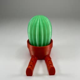 Cactus Pal 3d model