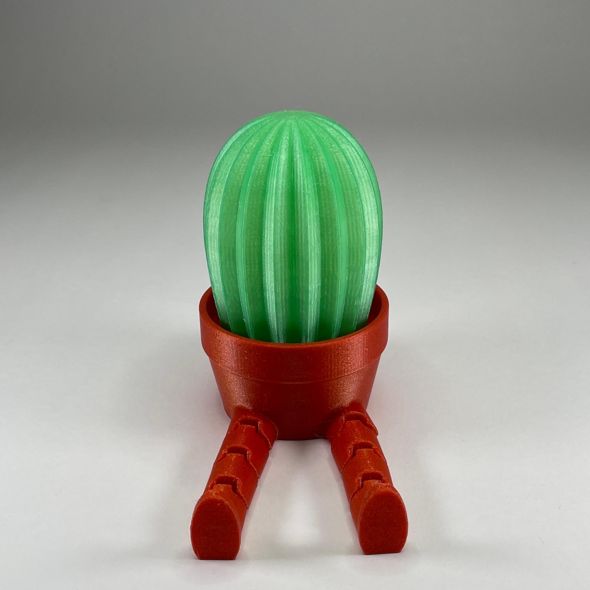 Cactus Pal 3d model