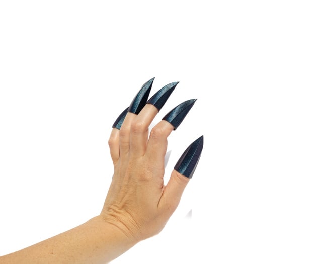 Kit Claws 3d model