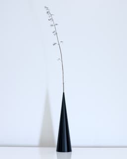 PLEIADES Cone // 67 mm x 250 mm 3d model
