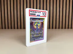 PA10 RawGuard (Probably A 10) 3d model