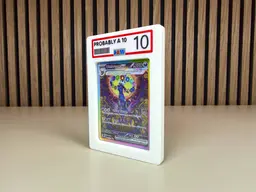 PA10 RawGuard (Probably A 10) 3d model