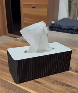 TISSUE BOX SET / TISSUE BOX ORGANIZER / HOMEDECOR / MODERN 3d model