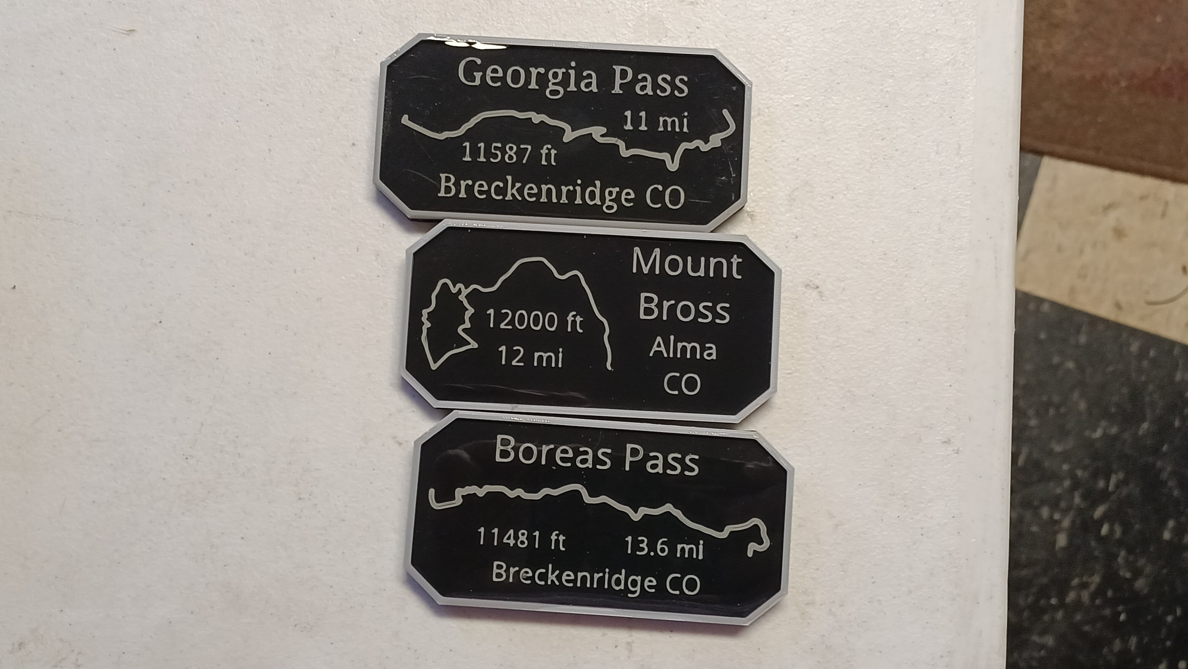Maverick's Trail Badge Boreas Pass Breckenridge Colorado 3d model