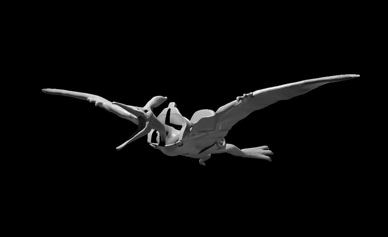Pteranodon - Pteranodon Mount - 3d model render - D&D - 3d model