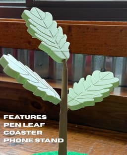 Tree Sapling 3d model
