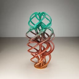 Spiral Rings Ornament 3d model
