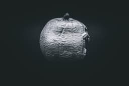Happy Season (Pre Supported) 3d model