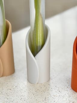 WRAPIS – Propagation Tube Wrap Vase Holder 3d model