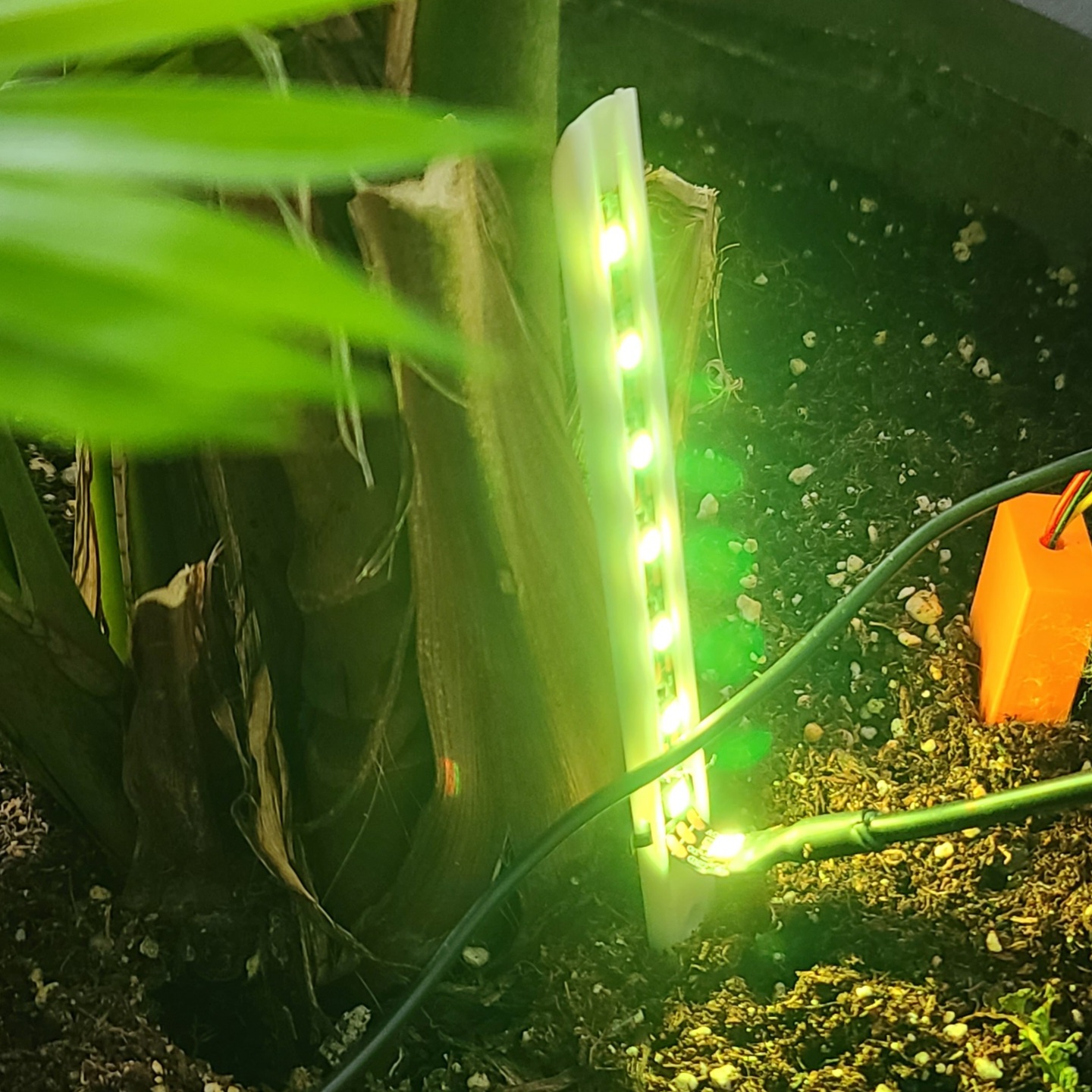 WLED Plant Backlight - Indoor/Outdoor lighting for plants 3d model