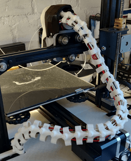 Cable Spine 3d model