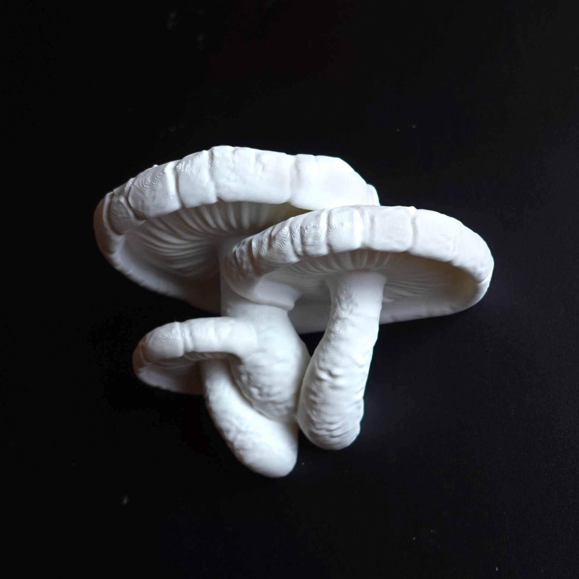 Wall shelf “Edodes Fungus” 3d model