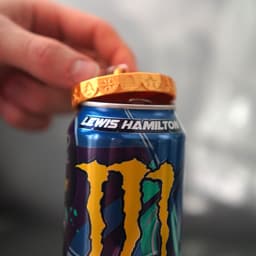 Monster Energy Ornament 3d model