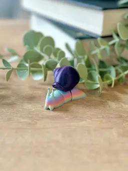 Rainbow snail with a Galexy purple shell. She’s so cute! I love how well the shell fits and that it can be any and all colors! 3d model