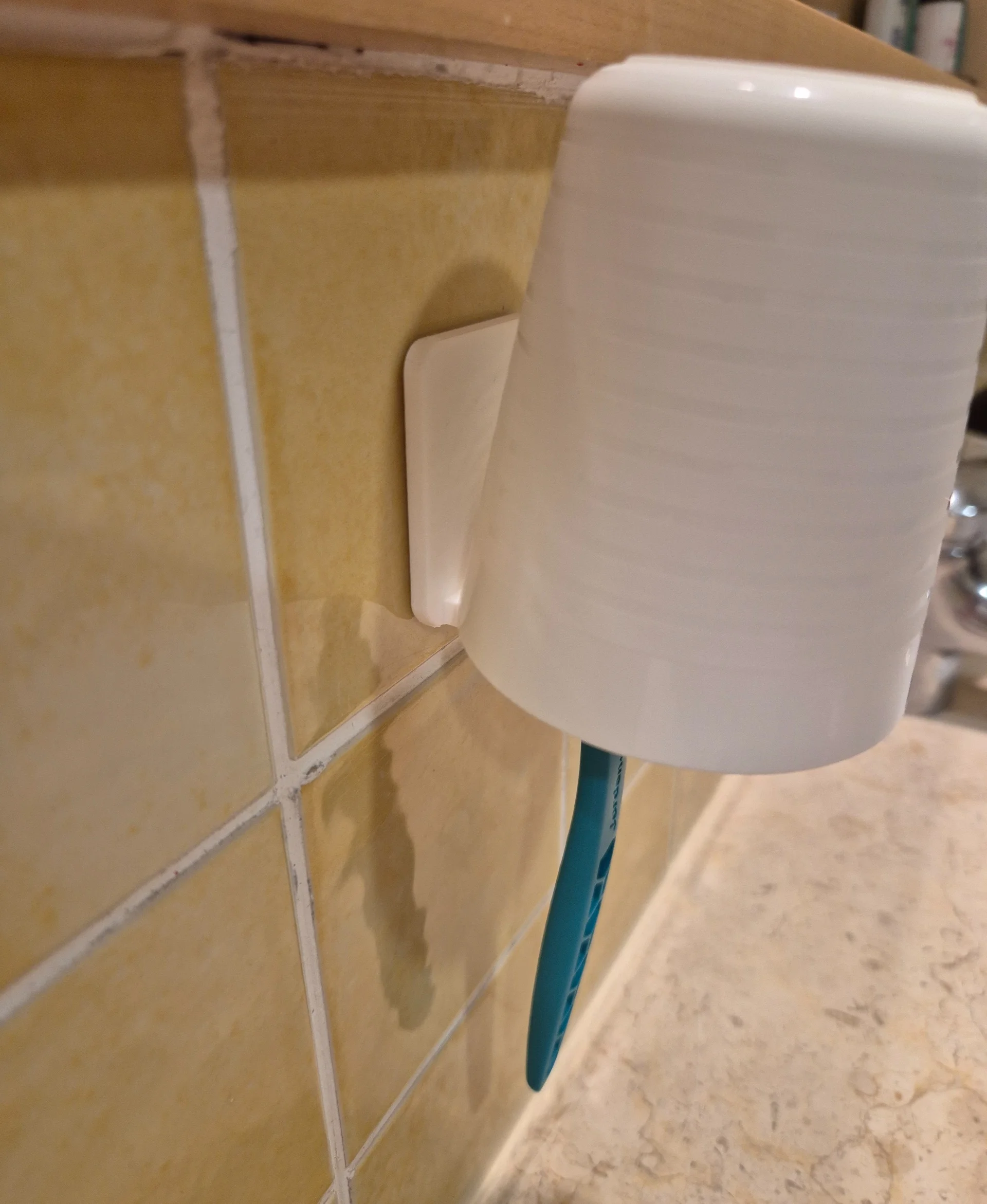 Wall Mounted Bathroom Cup & Toothbrush Holder 3d model