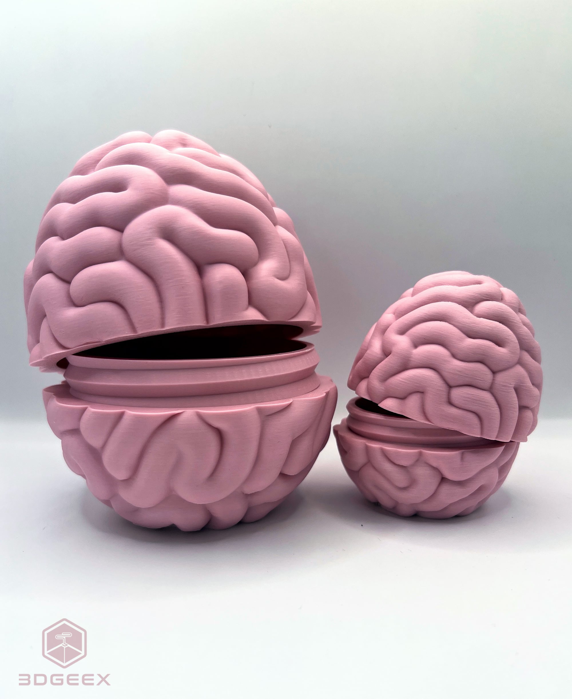 Easter Brain Egg 3d model