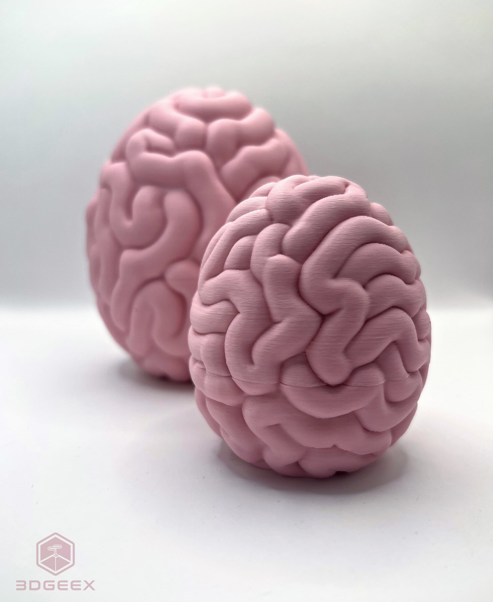 Easter Brain Egg 3d model