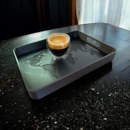 Designer Tray "OneWorld" 3d model